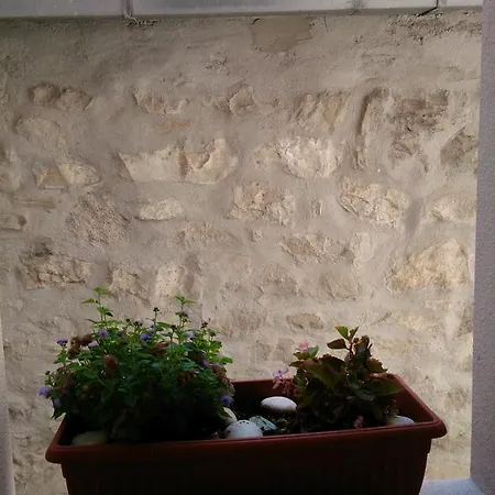Penzion Miro 3*